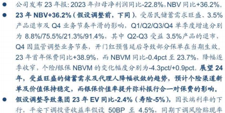 2024中国平安NBV大幅增长而利润指标略低于预期14页.pdf 